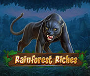 Rainforest Riches